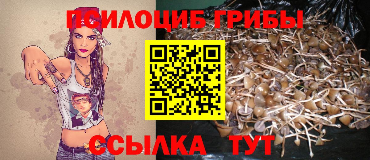 Усолье-Сибирское  где можно купить   Вход с VPN  Псилоцибиновые грибы прущие грибы 